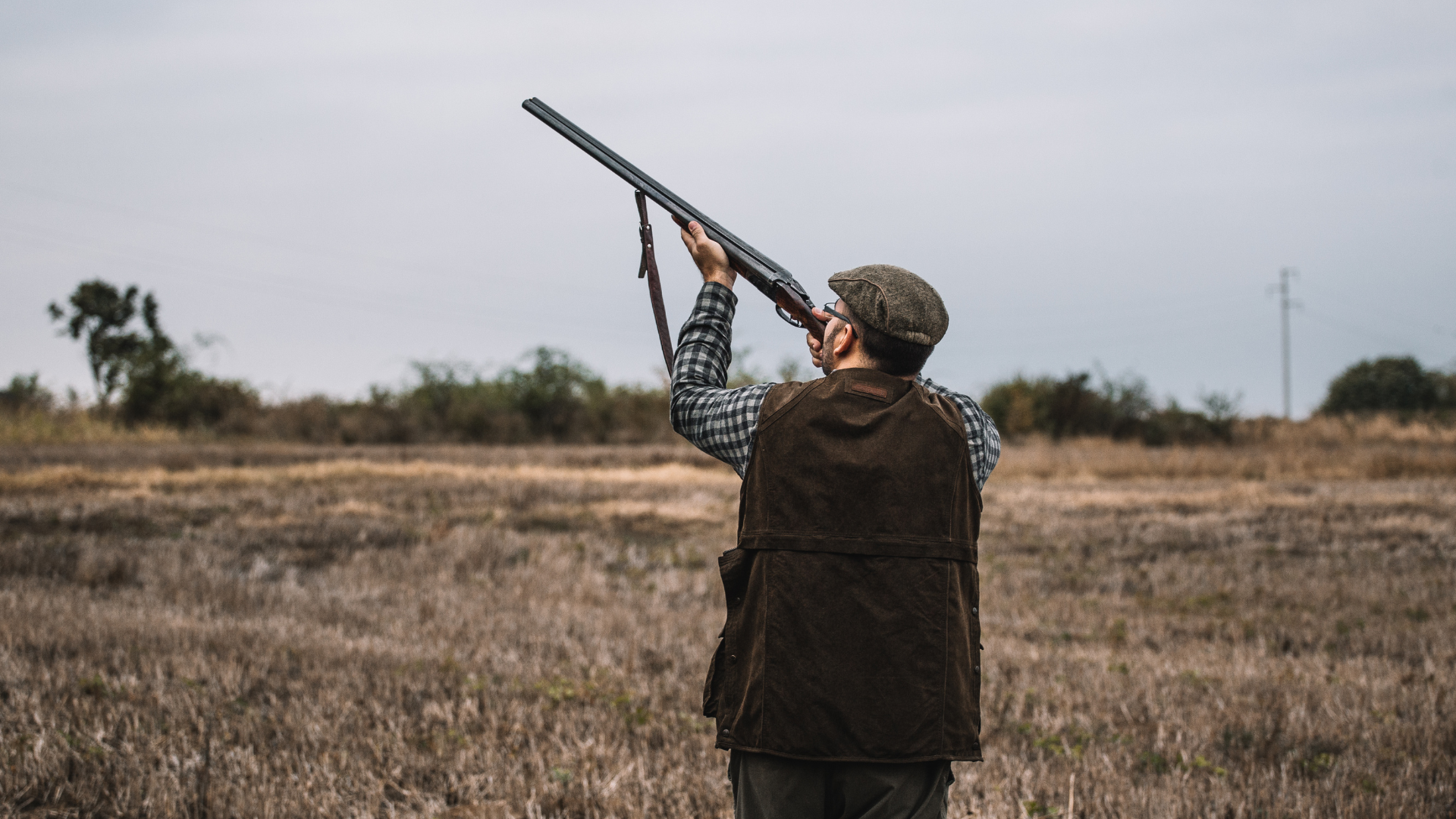 How to shoot clay pigeons: a beginner’s guide